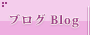 ブログ